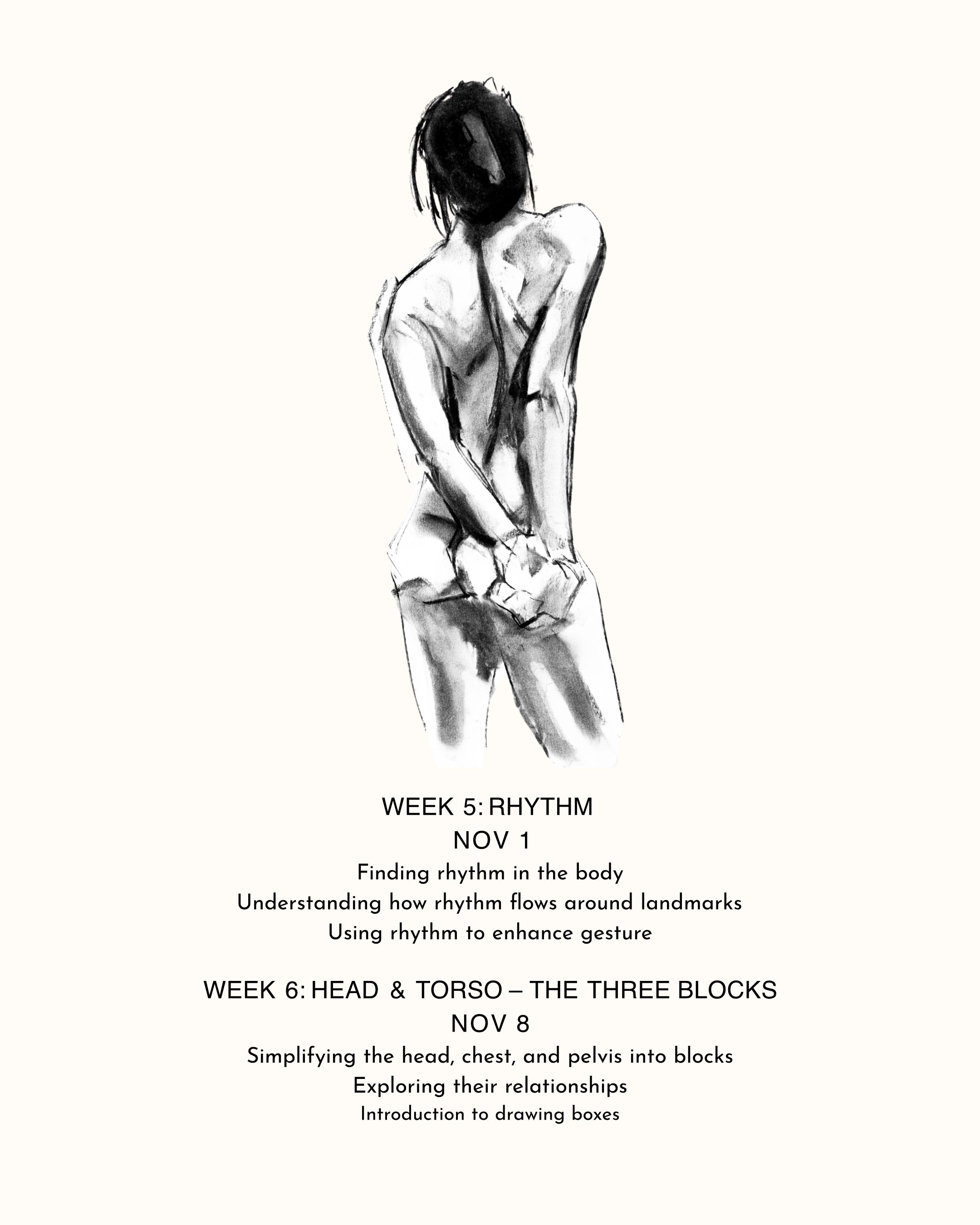 Week 5 - Rhythm, Week 6 Head and Torso